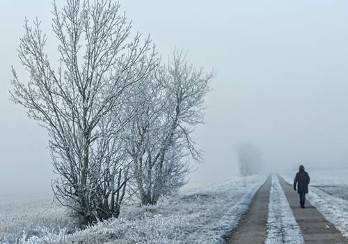 f rderstedt feldweg nach atzendorf © Margitta und Heinz-Peter Hadel